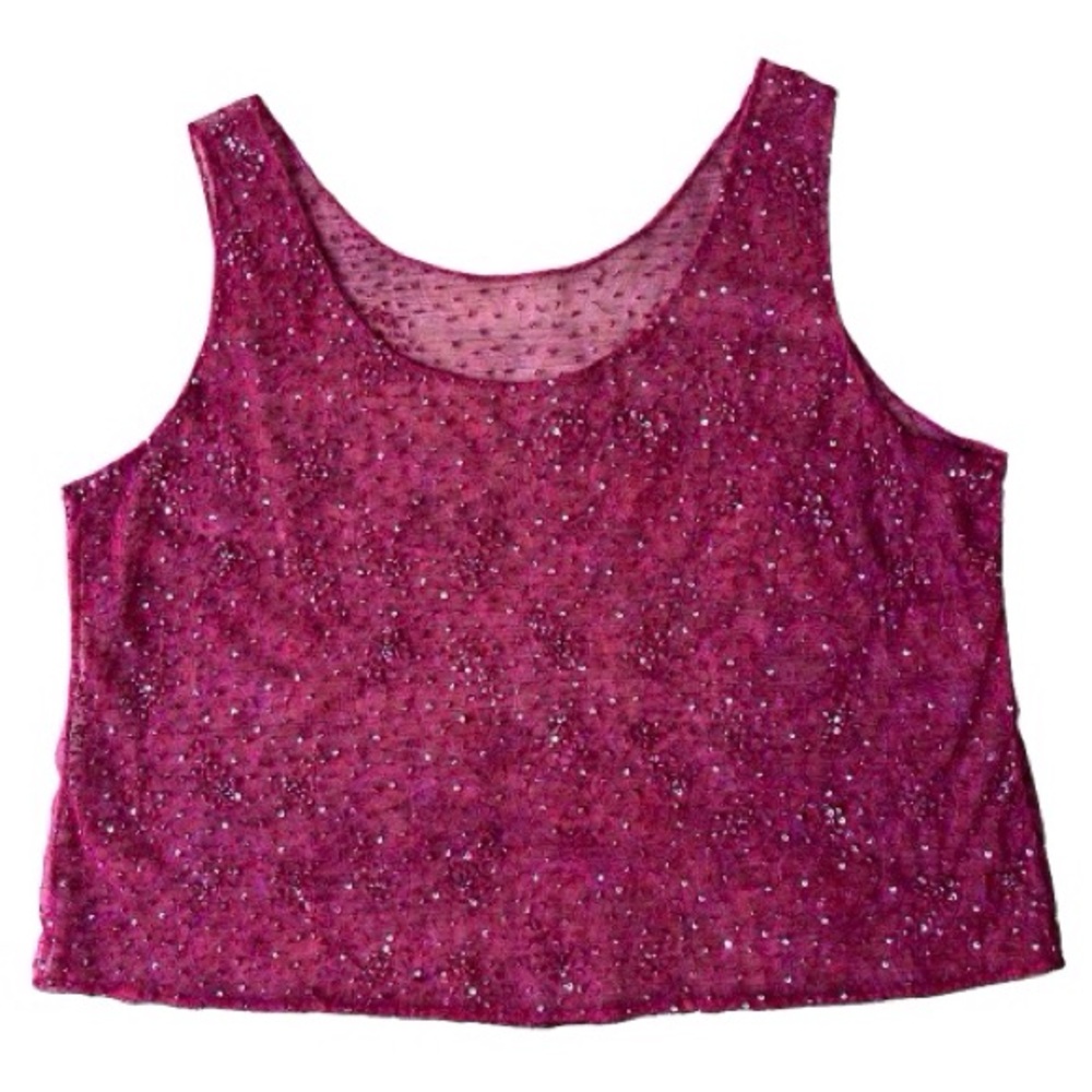 Raspberry Fuchsia Mesh Sleeveless Top with Embroidery and Sequins